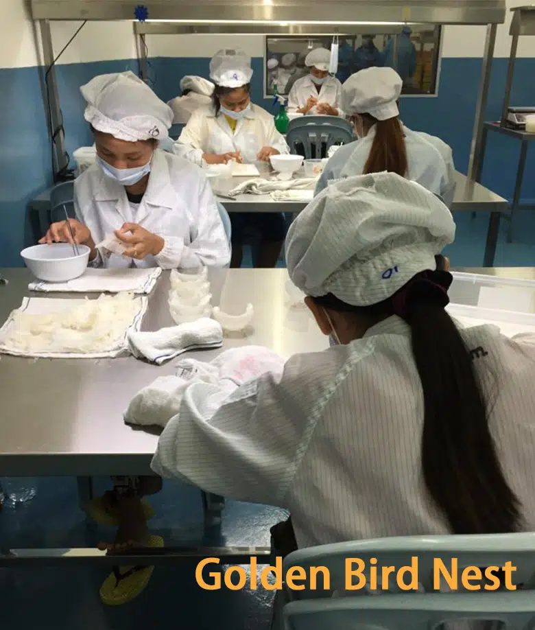 bird-nest-cleaning-process