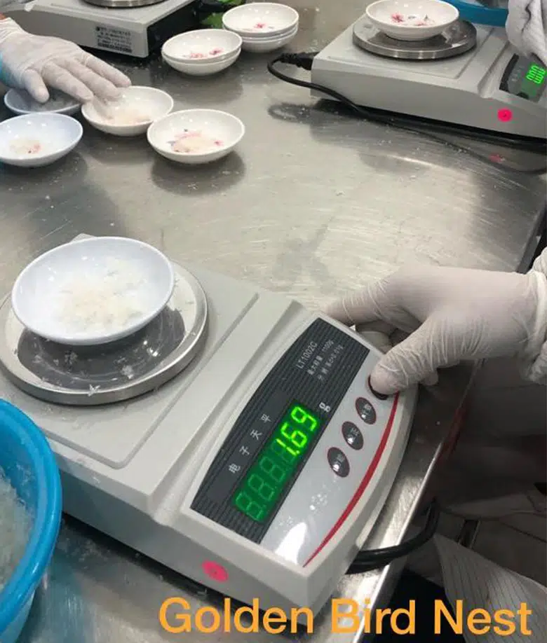 weighing-bird-nest