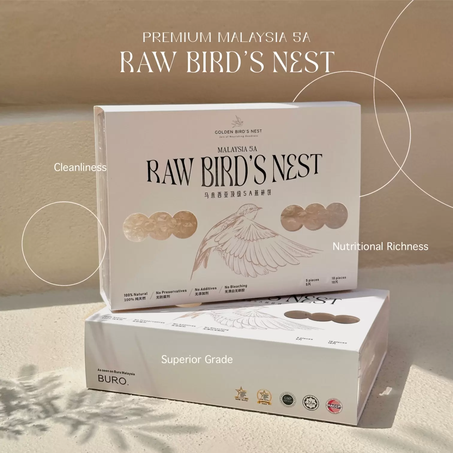 Nest is Best (5A) - Image 3