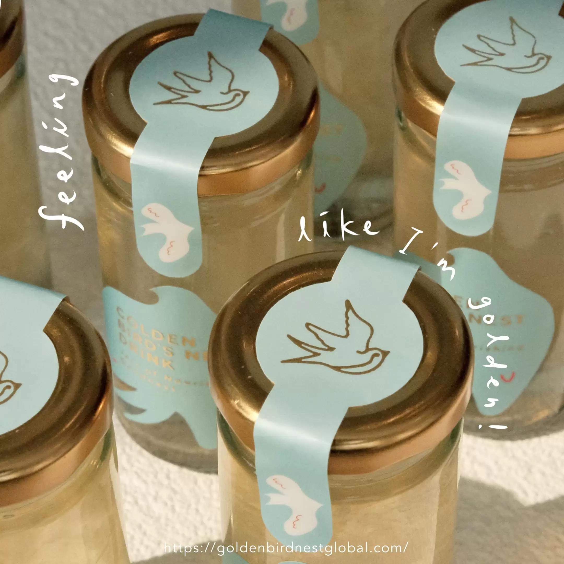 Beauty of Six -  Assorted flavours - Image 6